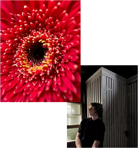 фото снятое на iPhone 13 Pro